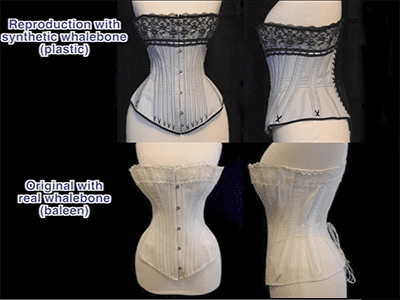 Your understanding of corsets may be wrong.