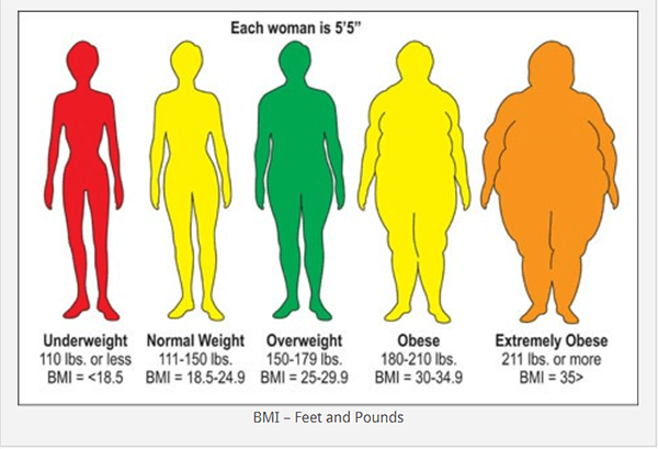  the top ten harms of obesity to the body